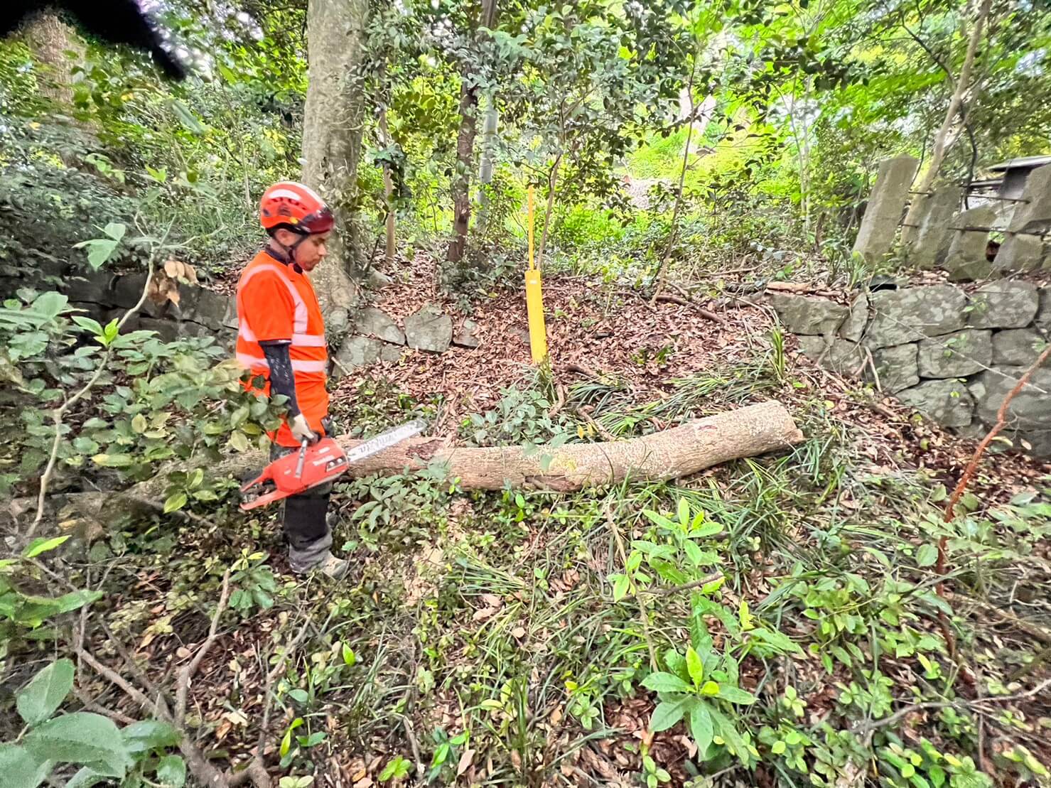 その後は現地にて集材、集積して作業は無事完了